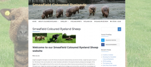 Smeafield-coloured-ryelands